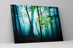 Obraz Lesná hmla zs1095